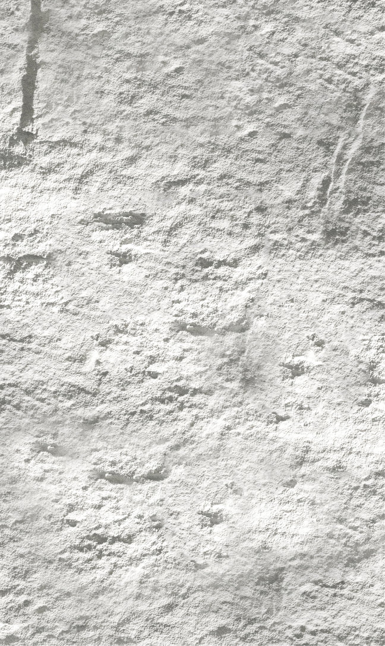 PU Stone Paneel - raue Textur