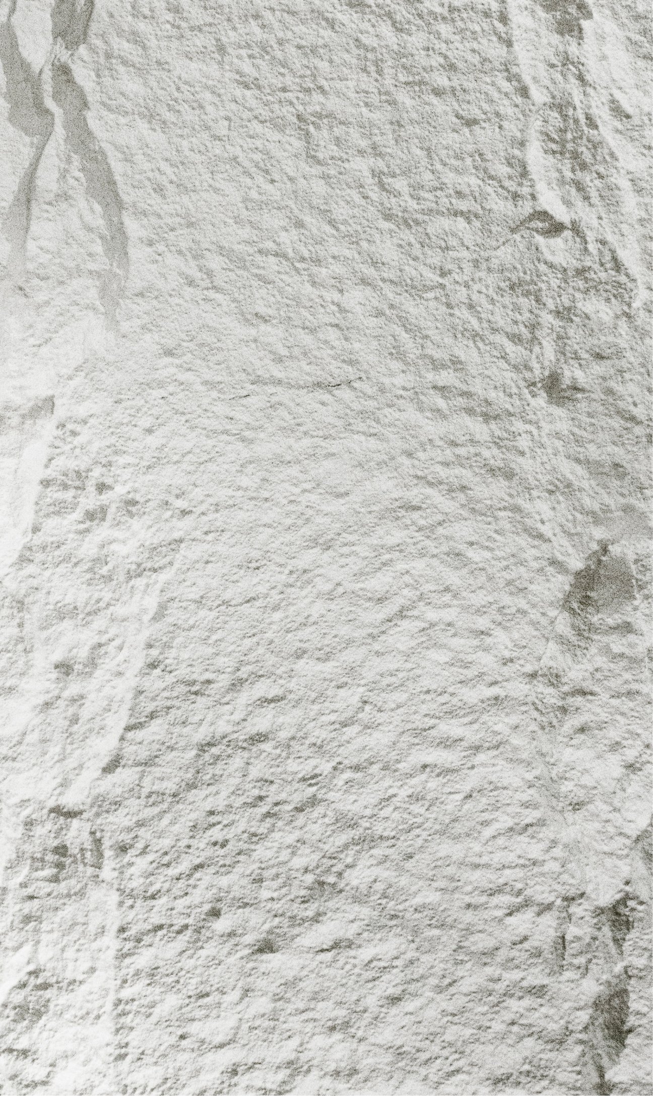 PU Stone Paneel - Naturoptik